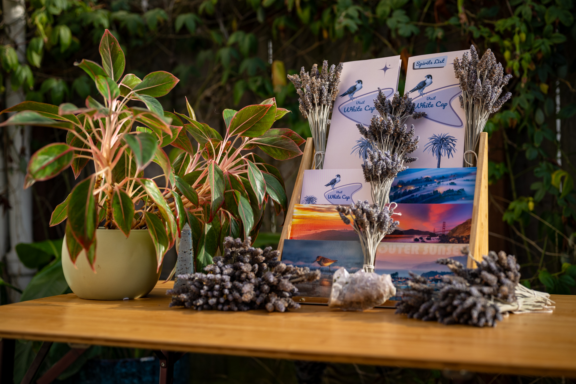 display of postcards and menus on a decorated table of lavender and crystals
